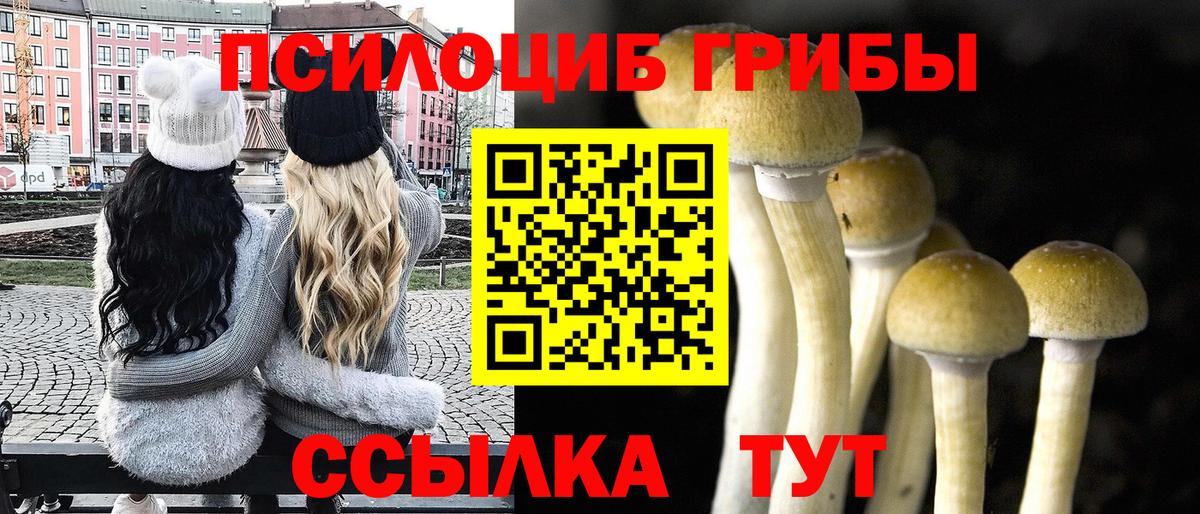 Галлюциногенные грибы GOLDEN TEACHER Городец