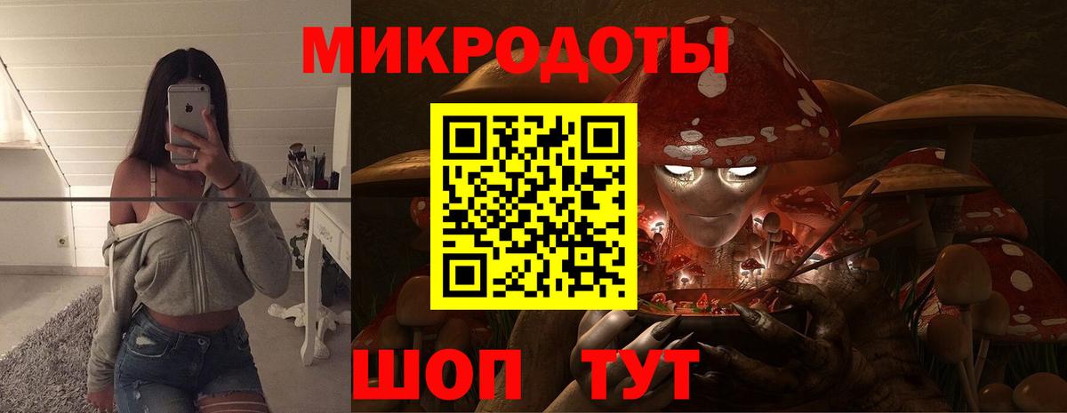 Городец  Псилоцибиновые грибы прущие грибы  Вход с VPN 